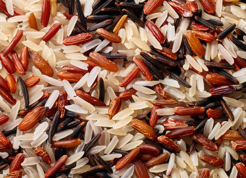 Rice