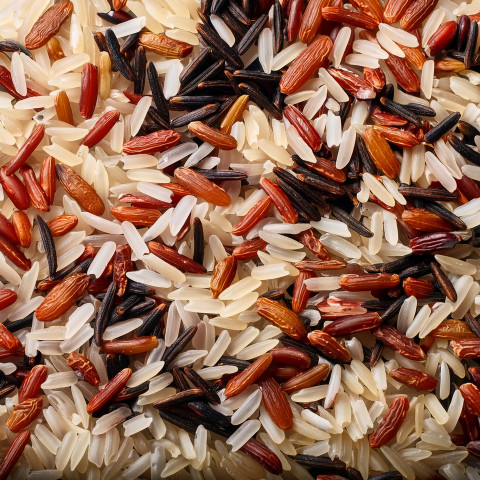 Rice
