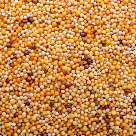 millet
