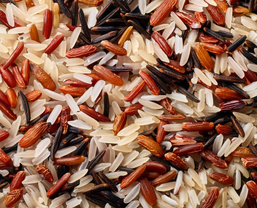Rice