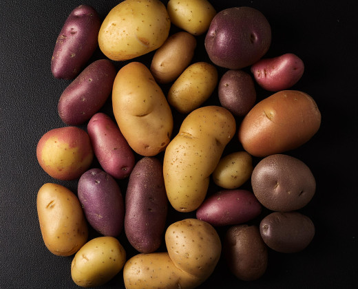Potato