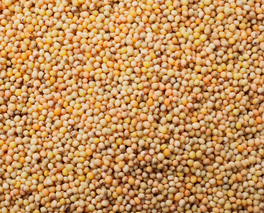 Millet